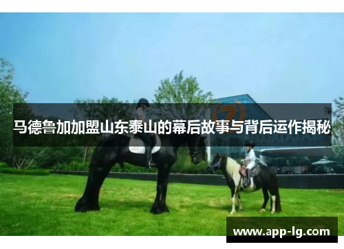 马德鲁加加盟山东泰山的幕后故事与背后运作揭秘